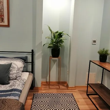 Apartment Pod Wawelem *
