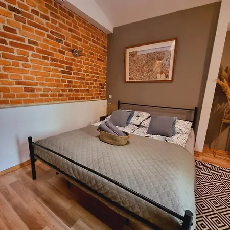 Pod Wawelem Parking Free Appartement Cracovie
